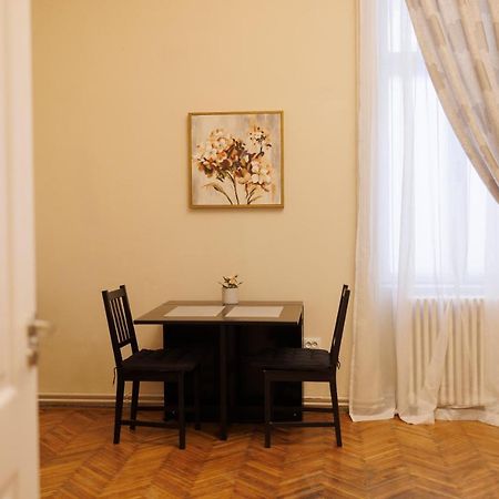 Spacious Flat In Old Town Wi-Fi Timişoara Exterior foto