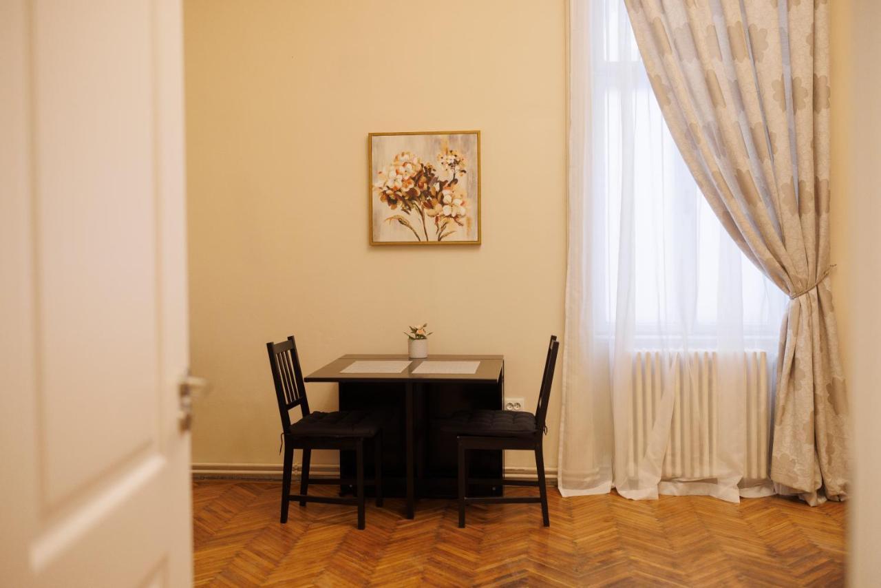 Spacious Flat In Old Town Wi-Fi Timişoara Exterior foto