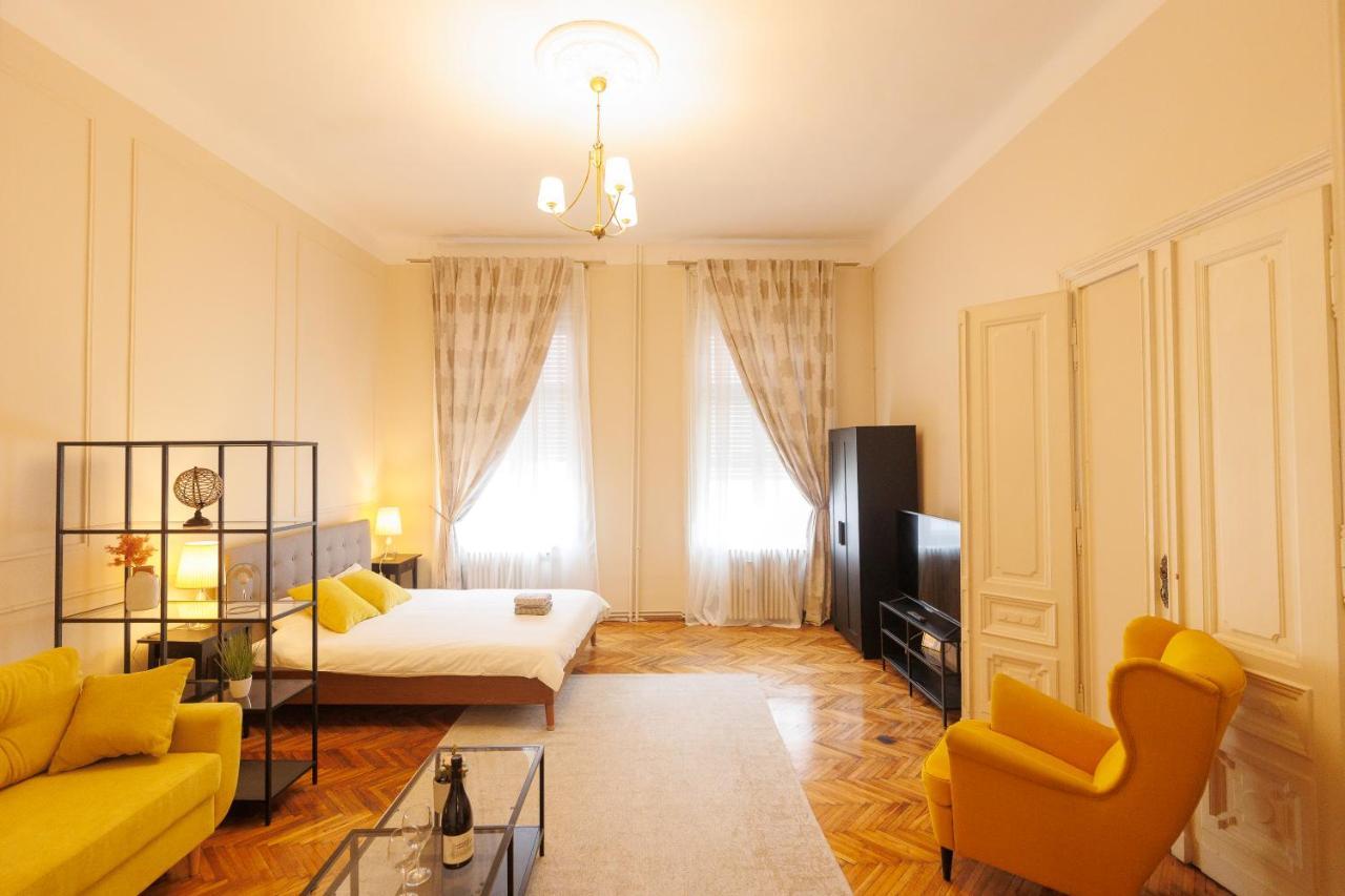 Spacious Flat In Old Town Wi-Fi Timişoara Exterior foto